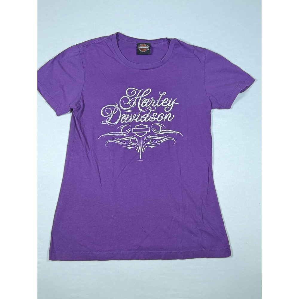 Harley-Davidson Shirt Womens Large Purple Toad Suck Conway AR Frog Bike Tee